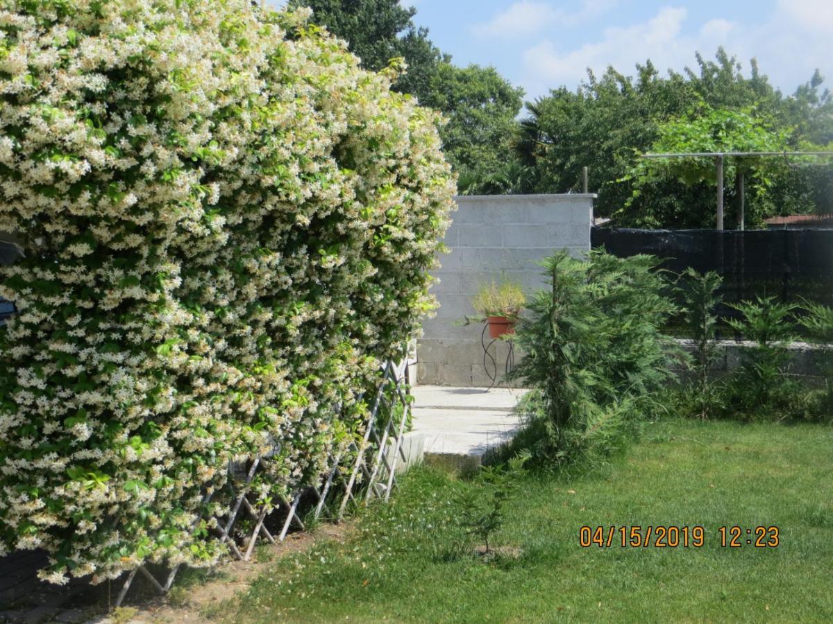 Bed and Breakfast 5 Palme Terzo d' Aquileia Экстерьер фото