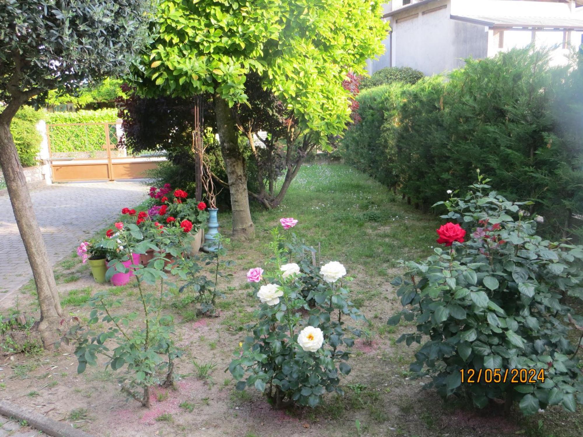 Bed and Breakfast 5 Palme Terzo d' Aquileia Экстерьер фото