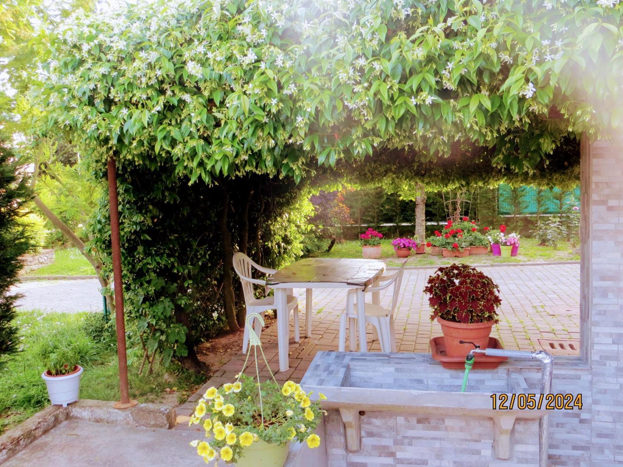 Bed and Breakfast 5 Palme Terzo d' Aquileia Экстерьер фото